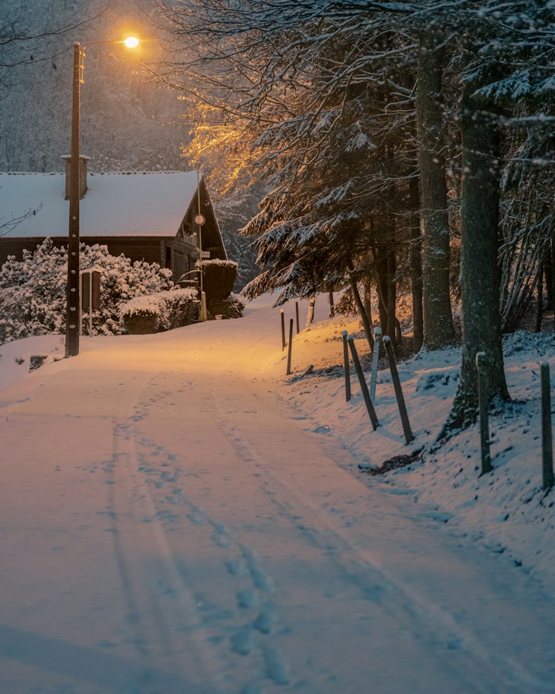 A snowy country lane at dusk, lit by a warm street lamp, with a house behind the trees